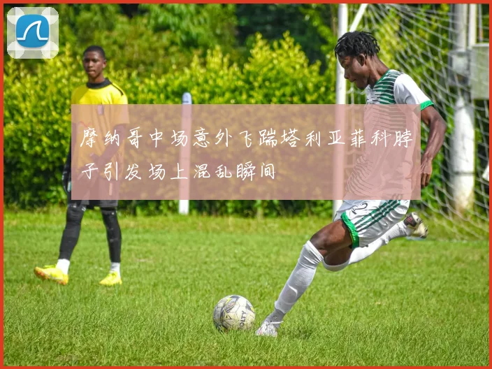 摩纳哥中场意外飞踹塔利亚菲科脖子引发场上混乱瞬间