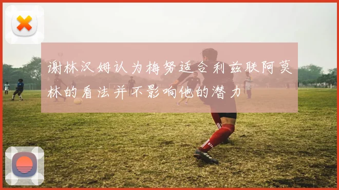 谢林汉姆认为梅努适合利兹联阿莫林的看法并不影响他的潜力