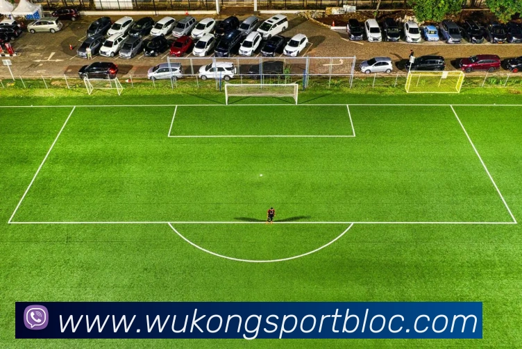 数据防护可视化