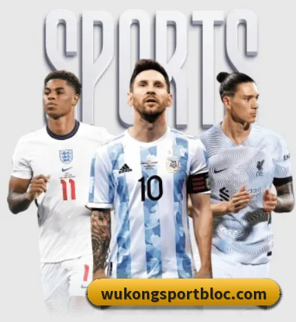 了解平台 - 体育资讯内容服务(WukongSports)