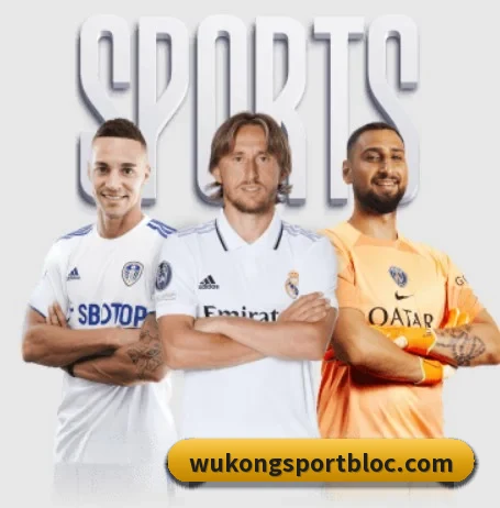 了解平台 - 体育资讯内容服务(WukongSports)